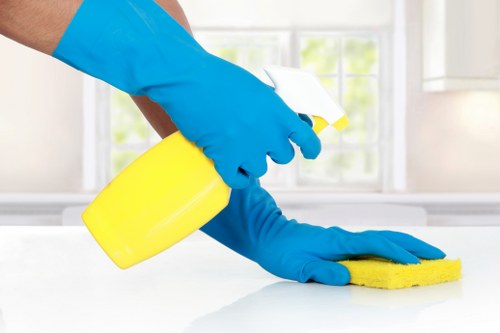 Terms and conditions document for a cleaning service