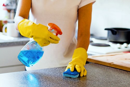 Professional house cleaning support for Richmond homes