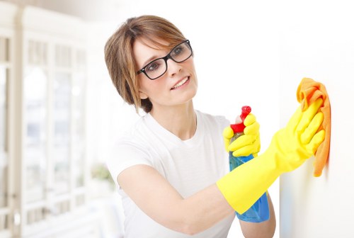Professional sofa cleaning service for Richmond homes and apartments