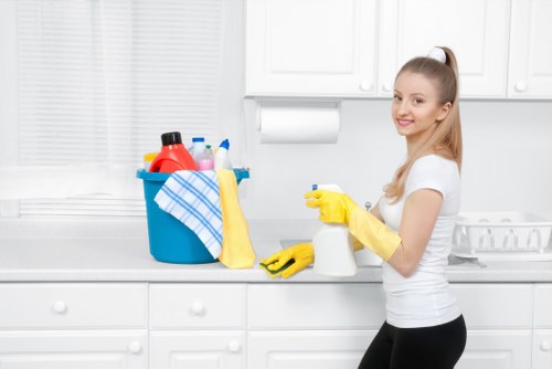 Deep cleaning upholstery on a family sofa in Richmond