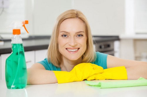 Domestic cleaners working in a Richmond family home