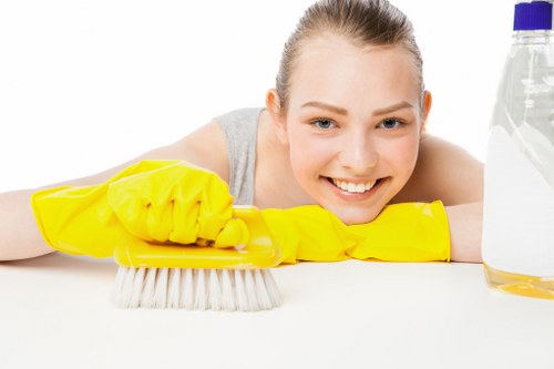 Experienced Richmond cleaners maintaining a fresh property interior