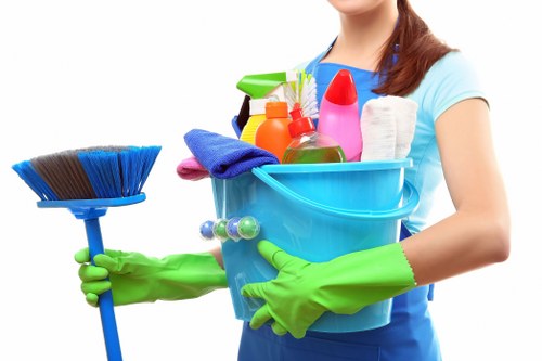 Professional oven cleaning service in a Richmond home kitchen