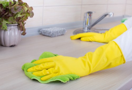 Cleaners Richmond team introducing professional cleaning services