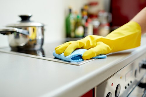 Detailed kitchen and bathroom cleaning in Richmond